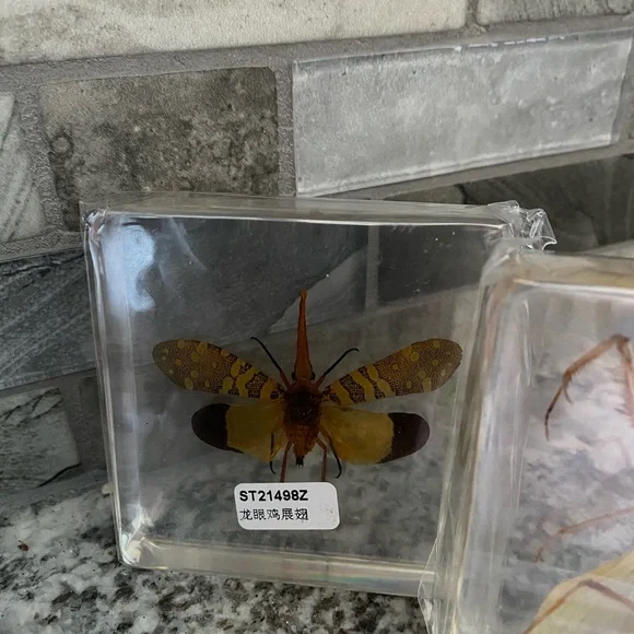 Insect Specimen Collection Set - Picture 2 of 5